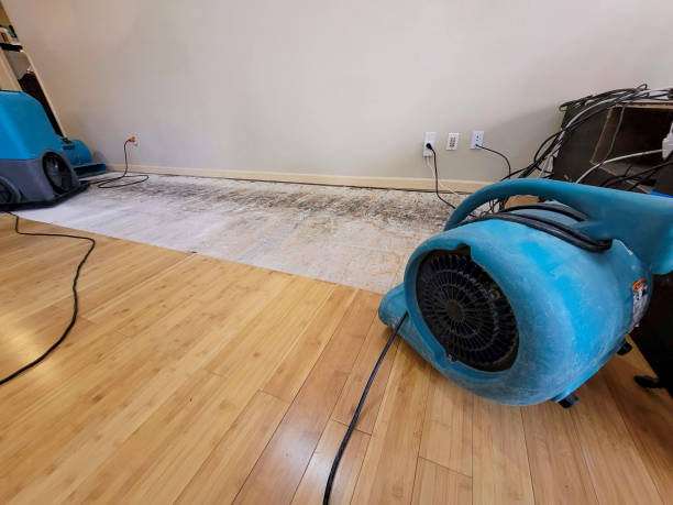 Professional Water Extraction technician working in Oak Grove, MN